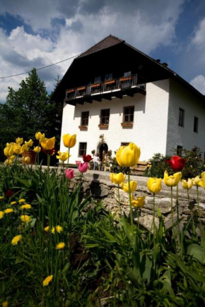  Ferienhof Rotbuchner  Фордерстодер